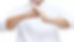 Fist and Palm Salute