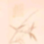 Gladiolus Fabric — Shi Yang Jin (十样锦)
