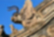 Chao Feng on Roof of Building