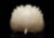 Taoism Lotus Shaped Jade Guan (Used to Decorate Tied Hair of Men) of the Song Dynasty (960 — 1279)