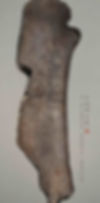 Oracle Inscriptions of the Shang Dynasty that Records The Sexagenary Cycle or Heavenly Stems and Earthly Branches System