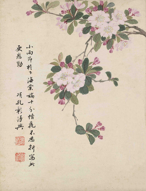Begonia Flowers by Xiang Shengmo