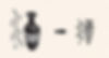 Chinese Character of Alcohol, on Unearthed Oracle of the Shang Dynasty
