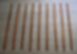 Unearthed Bamboo Slips Recording the Laws of the Qin Dynasty (221 BC — 207 BC)