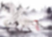 Auspicious and Kind Nine-Tailed Fox