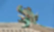 Chi Wen Image on top of a roof