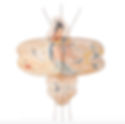 Hard Winged Kite Painted with Goddess Magu