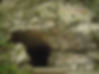 Cave that Wang Yangming used to Live During This Period