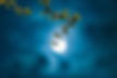 bright moon