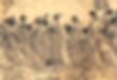 Chinese Gods, Goddesses, Deities, and Immortals