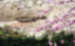 Mount Heng in Shanxi.jpg
