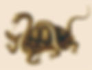 Black Tortoise in Chinese Astrology