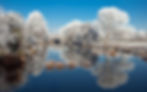 rime of jilin