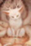 Nine Tailed Fox or Jiuweihu