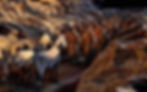 Terracotta Army by Zhao Zhen.jpg
