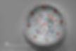 Dragon and Phoenix Pattern Porcelain of the Qing Dynasty (1636 — 1912)