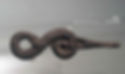 Snake Shaped Belt Hood (Dai Gou) of the Warring States Period (403 BC — 221 BC)