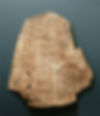 Unearthed Inscriptions on Bones regarding King Wu Ding’s Divination about Shang Empire