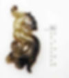 Dragon Shape Jade of the Warring States Period (403 BC — 221 BC)
