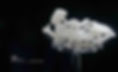 Jade Flying Deity of the Tang Dynasty