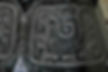 Chinese Phoenix Fenghuang Pattern on Bronze Cattle of the Zhou Dynasty