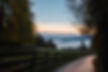 fences and pathway