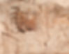 Mural "Sima Tu" Unearthed from Ruins of Xianyang Palace, The Imperial Palace of Qin Shi Huang.