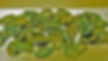 Shell Currency of the Shang Dynasty
