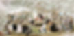 Private Schools of the Spring and Autumn Period
