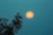 moon rises