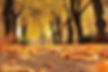 falling leaves and trees