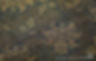 Chinese Silk Jin or Brocade of the Ming Dynasty (1368 — 1644), Woven Using Silk and Gold Threads