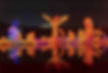 Chinese Phoenix or Fenghuang Shaped Festival Lanterns or Hua Deng