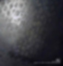 Bronze Inscriptions on Ding of Duke Mao (Mao Gong Ding)