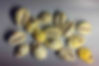 Currency of the Xia Dynasty