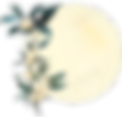 Moon on Mid-Autumn Festival